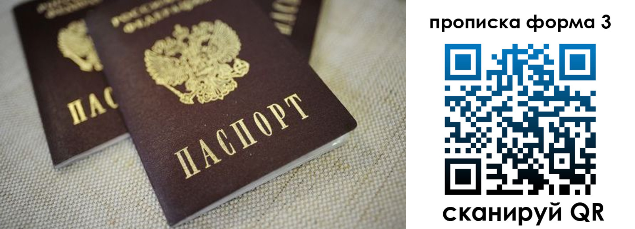 прописка поиск в Петропавловске-Камчатском