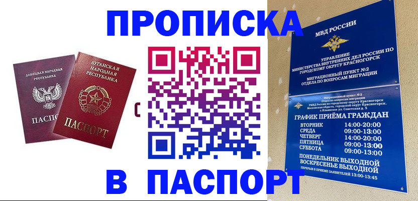 временная регистрация недорого в Петропавловске-Камчатском